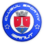 CS Iernut logo