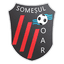 CS Someşul Oar logo