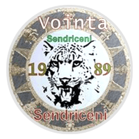 Voinţa Şendriceni