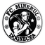 ACS 1955 Minerul Dognecea logo