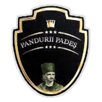 AS Pandurii Padeş 2019