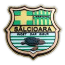 Libertatea Sălcioara