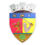 ACS Târnava Mică Sângeorgiu de Pădure logo