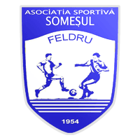 AS Someşul Feldru 1954