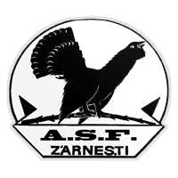 ASC Olimpic Zărneşti