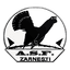 ASC Olimpic Zărneşti logo