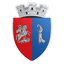 ACS Hebe Sîngeorz Băi logo