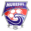 ACS Mureşul Ruşii Munţi logo