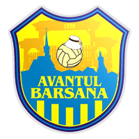 ACS Avântul Bârsana