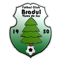 CS Bradul Vişeu de Sus