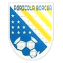Agricola Borcea