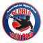 ACS Gloria Vadu Paşii logo