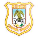 CS Mioveni