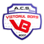 CS Viitorul Borş logo