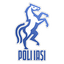 ACSM Politehnica Iaşi logo