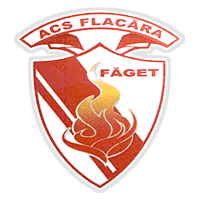 CSO Făget