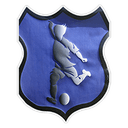 Fotbal Curciu