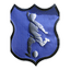 AS Fotbal Curciu logo