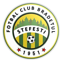 Brădetul Ştefeşti