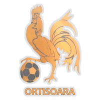 CS Cocoşul Orţişoara