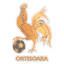CS Cocoşul Orţişoara logo