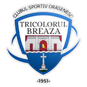 CSO Tricolorul
