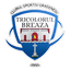 CSO Tricolorul Breaza logo