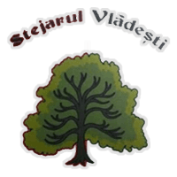 AS Stejarul Vlădeşti 2009