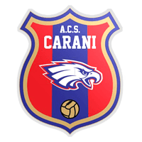 CS Sînandrei Carani