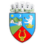 CSM Lugoj logo