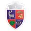 CS Socodor logo