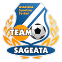 Team Săgeata