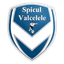 AS Spicul Vâlcelele logo