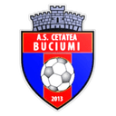 Cetatea Buciumi