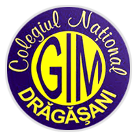 Colegiul Naţional 'Gib Mihăescu' Drăgăşani