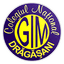 Colegiul Naţional 'Gib Mihăescu' Drăgăşani logo