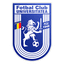 U Craiova 1948 SA logo