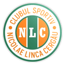 Nicolae Linca Cergău