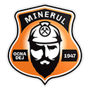 Minerul Ocna Dej
