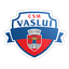 CSM Vaslui logo