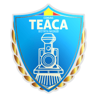 ASFC Real Teaca