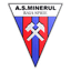 CSO Minerul Baia Sprie logo