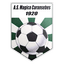 ACS Magica Balta Caransebeş logo
