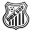 FK Bor 1919 logo