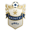 FK Radnički Pirot logo