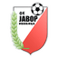 FK Javor Matis Ivanjica logo