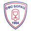 FK SFS Borac Paraćin logo
