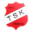 FK TSK Temerin logo