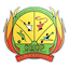 SDYuSShOR Bronnitsy logo