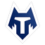 Akademia Futbola Tambov logo